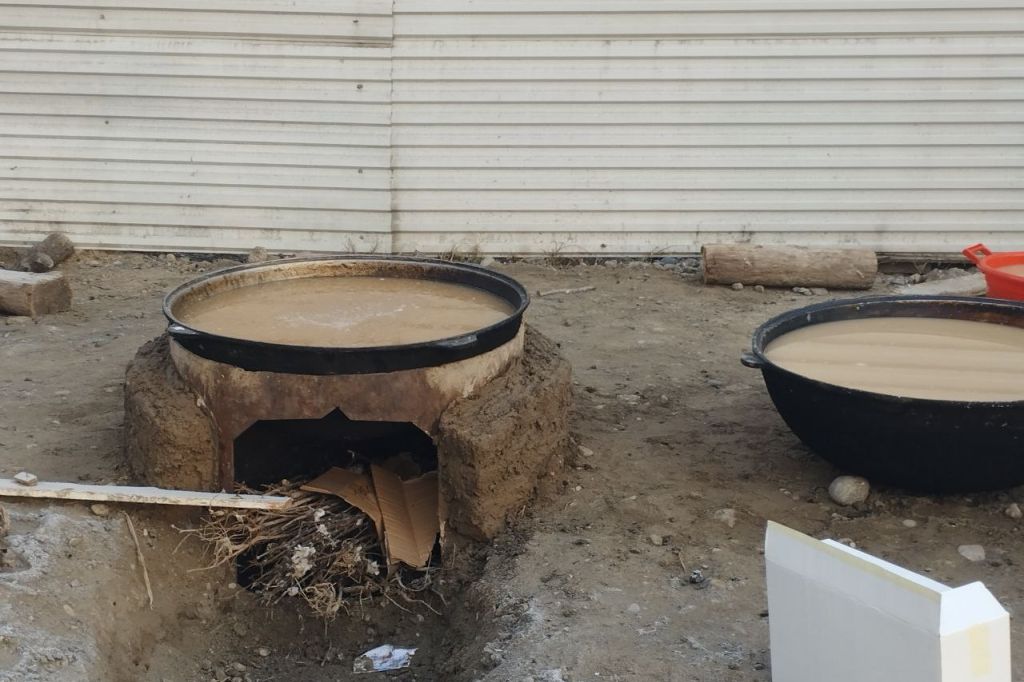 Let's hurry up to spring! 