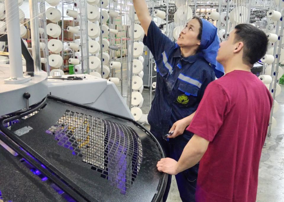 Implementation of projects on the dual education system