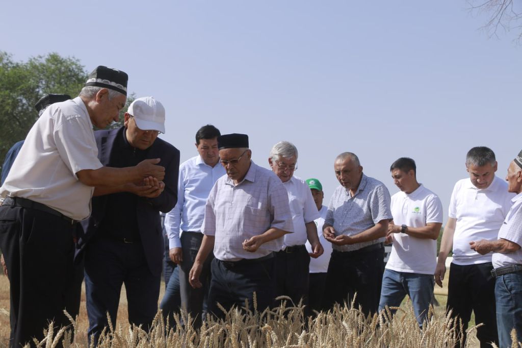 Preparation for the Harvest