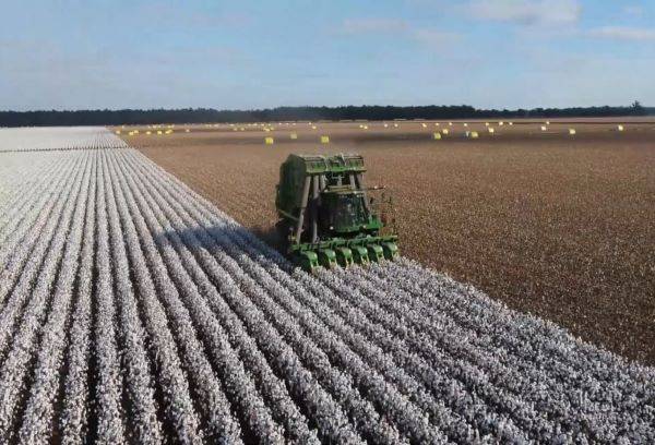 Cluster Model in Global Textile