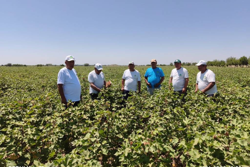 Global Textile's “Kholis” Experts: Independent Expertise for Sustainable Agriculture